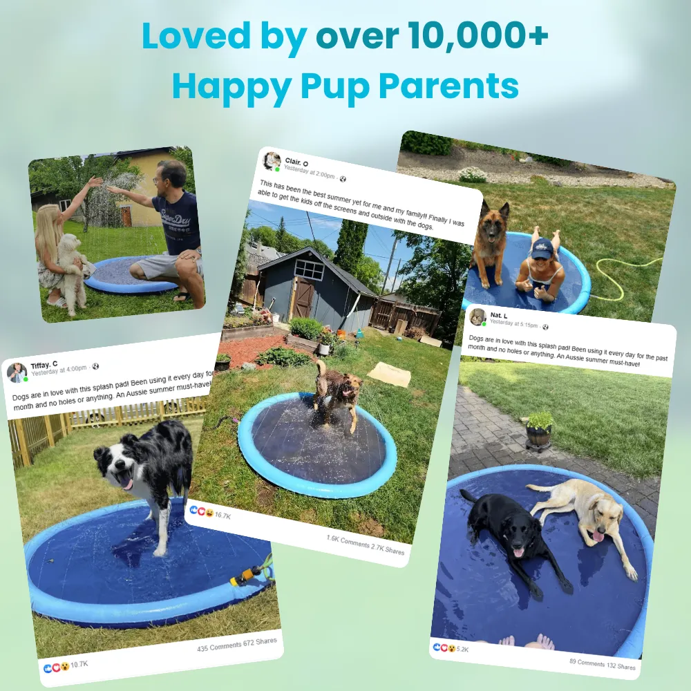 Pup Paradise&trade; Splash Pad