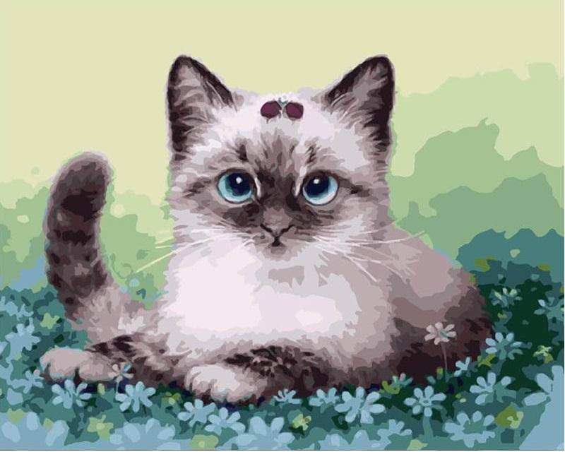 

Fluffy Kitten – Paint By Numbers - 40*50CM, 501 Original