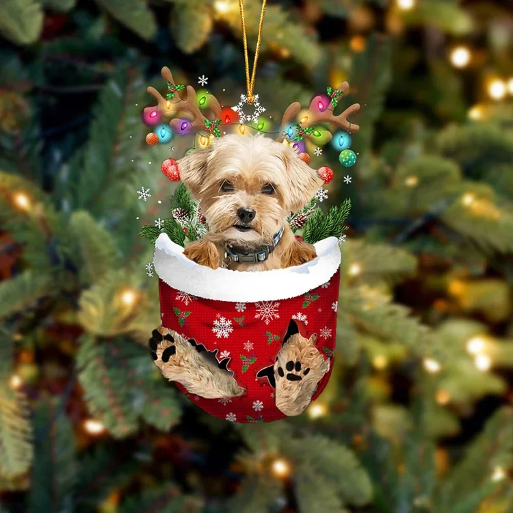 Shorkie In Snow Pocket Christmas Ornament trabladzer