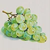 Food Series: Grapes-14CT Stamped Cross Stitch Egyptian Cotton 50*50cm/19.69*19.69in tapestrymarket