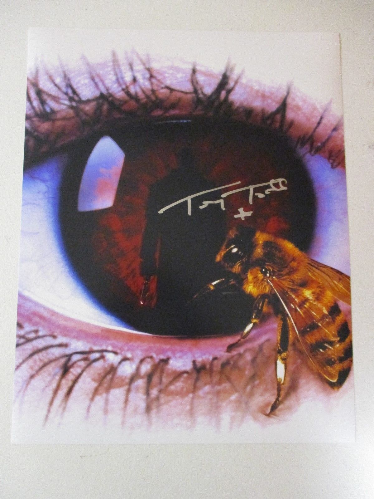 CANDYMAN TONY TODD SIGNED AUTOGRAPHED 11X14 Photo Poster painting WITH EXACT SIGNING PIC PROOF