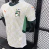 2026 World Cup Player Ivory Coast Soccer Jersey Home