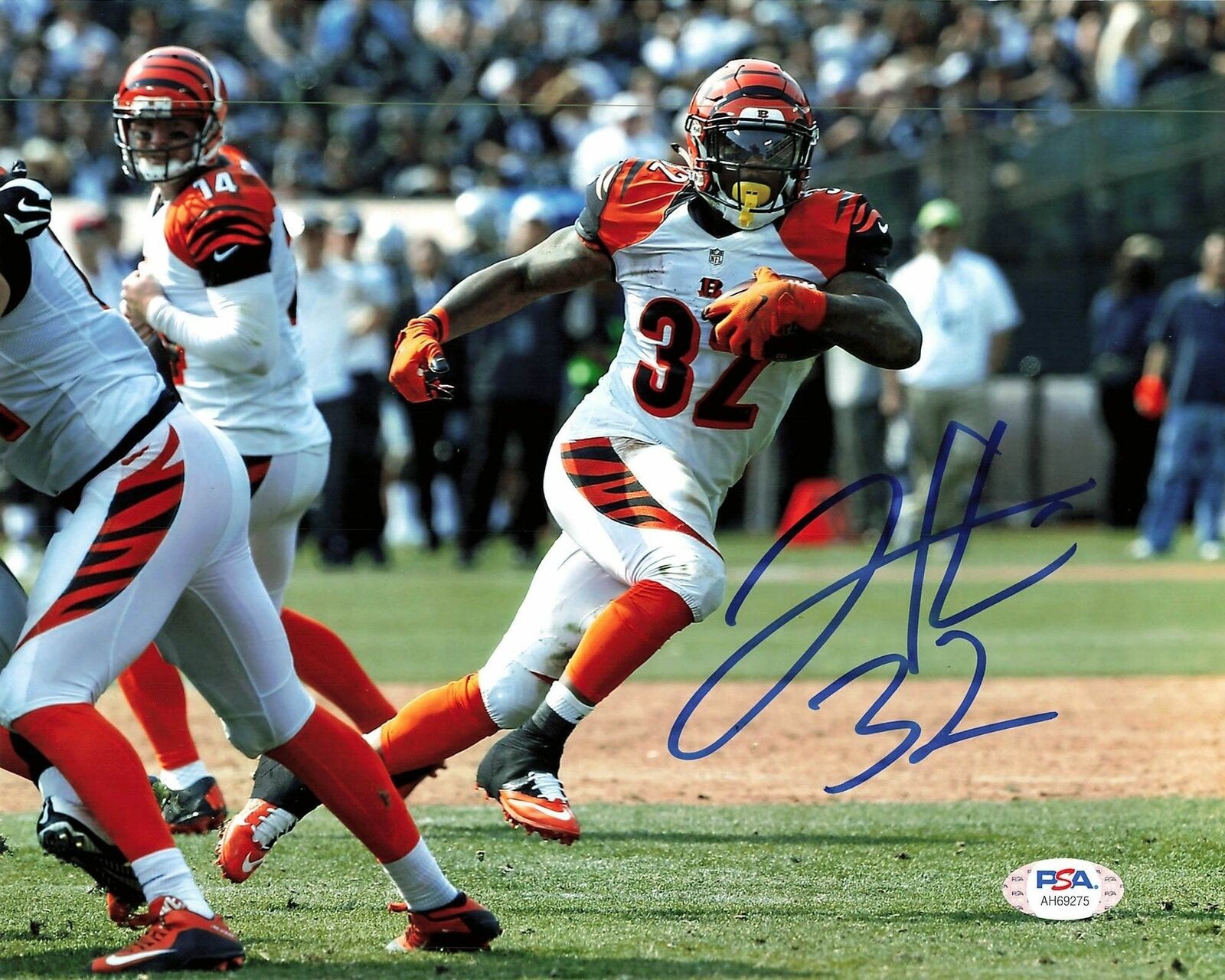 Jeremy Hill signed 8x10 Photo Poster painting PSA/DNA Cincinnati Bengals Autographed