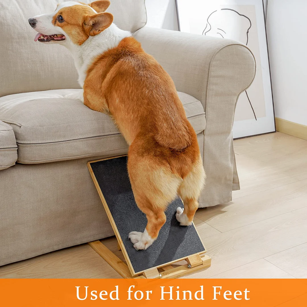 Dog Scratch Pad for Nails