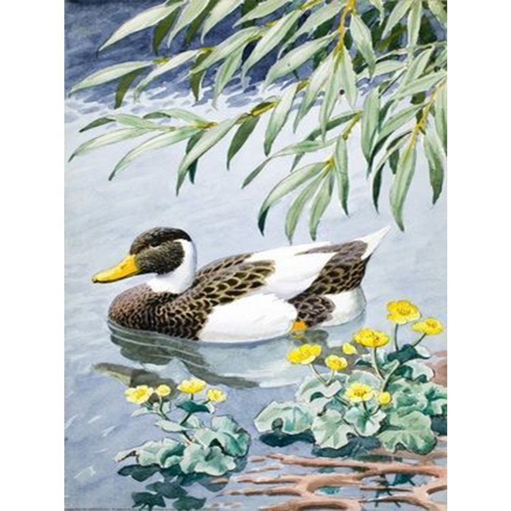 

Duck - Round Drill Diamond Painting - 30*40CM, 501 Original