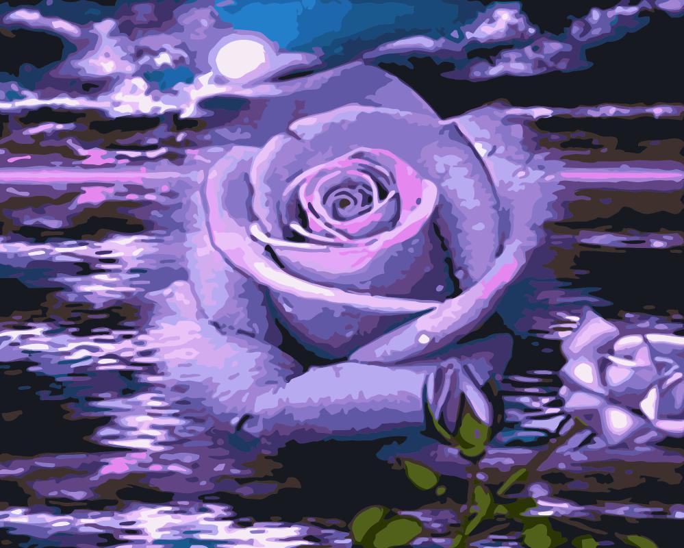 

Purple Rose Under The Moon – Paint By Numbers - 40*50CM, 501 Original