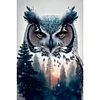 (40*60cm)Owl - Round AB Drill Diamond Painting