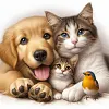Chat Et Chien-Perceuse Ronde Peinture Diamant-40*40CM