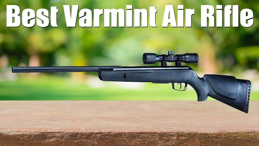 Gamo 6110017154 Air Rifle
