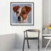 uk.everydayedeals (Limited Stock)Paint By Number - Oil Painting -  Dog (40*40Cm)