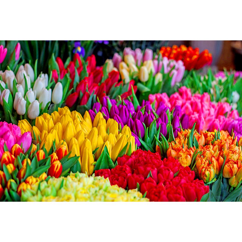 

Multicolor Tulips 1000pcs Paper Puzzles Jigsaw Educational Kids Adult Toys, 501 Original