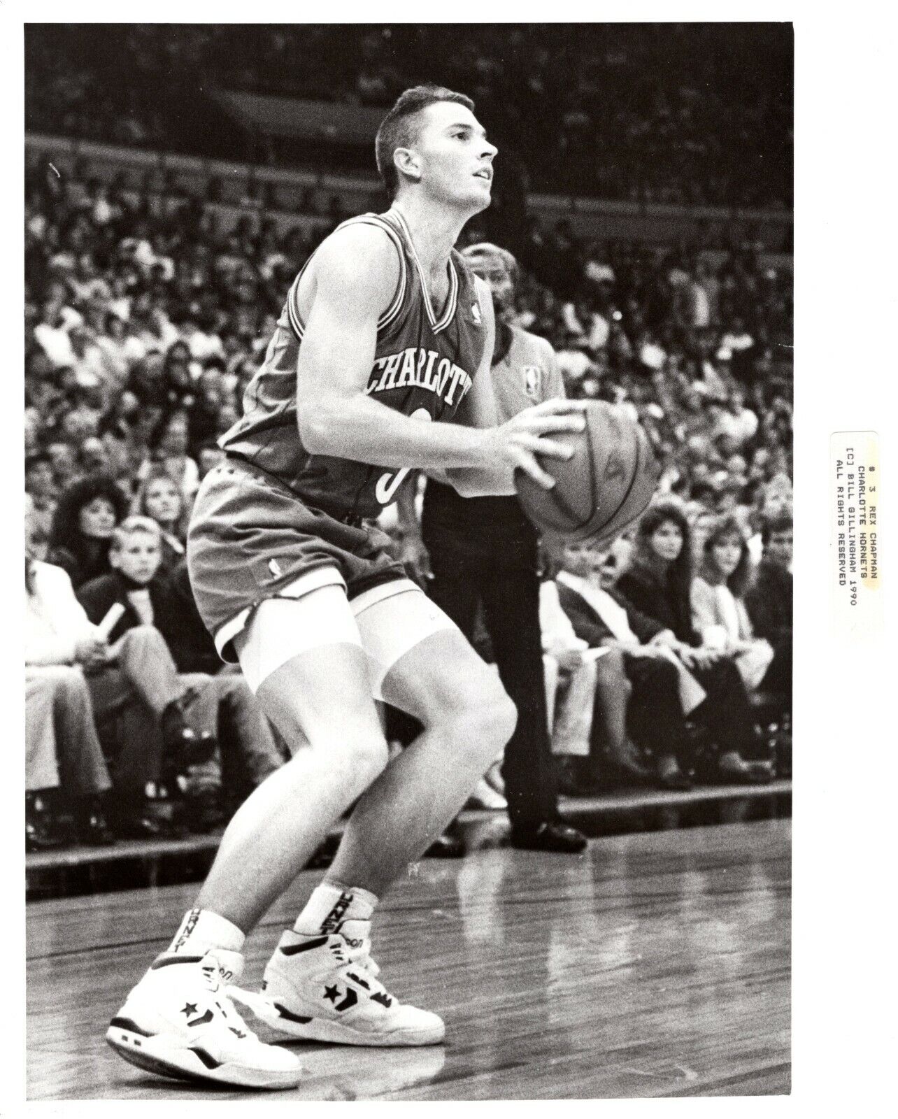 REX CHAPMAN Charlotte Hornets Basketball NBA 8x10 Promo News Press Photo Poster painting 1990