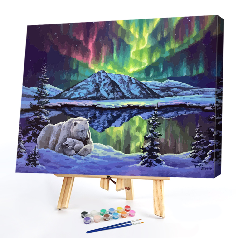 

40*50CM - Paint By Numbers - Aurora, 501 Original