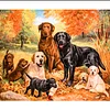 Dog  | Full Round Diamond Painting Kits