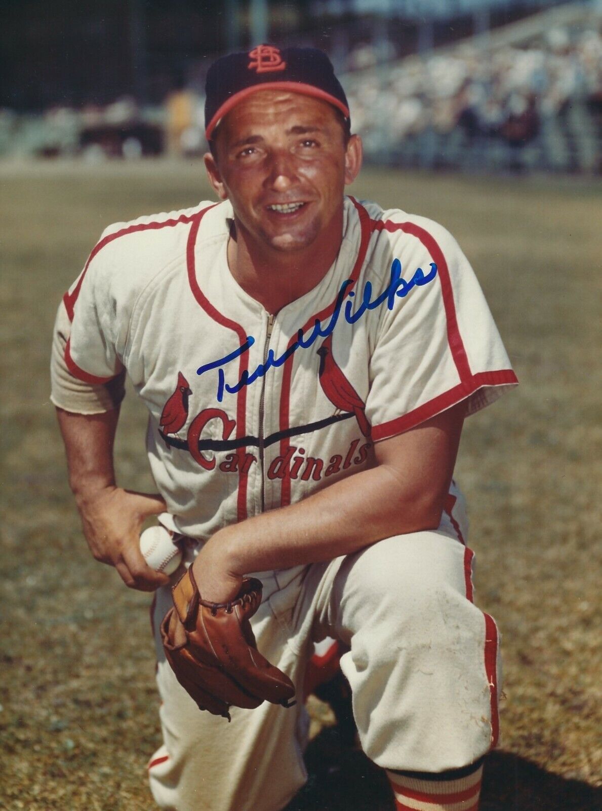 Signed 8x10 TED WILKS St. Louis Cardinals Autographed Photo Poster painting- COA