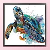 [Brand]Turtle - 14CT Stamped Cross Stitch - 51*49cm - Animal