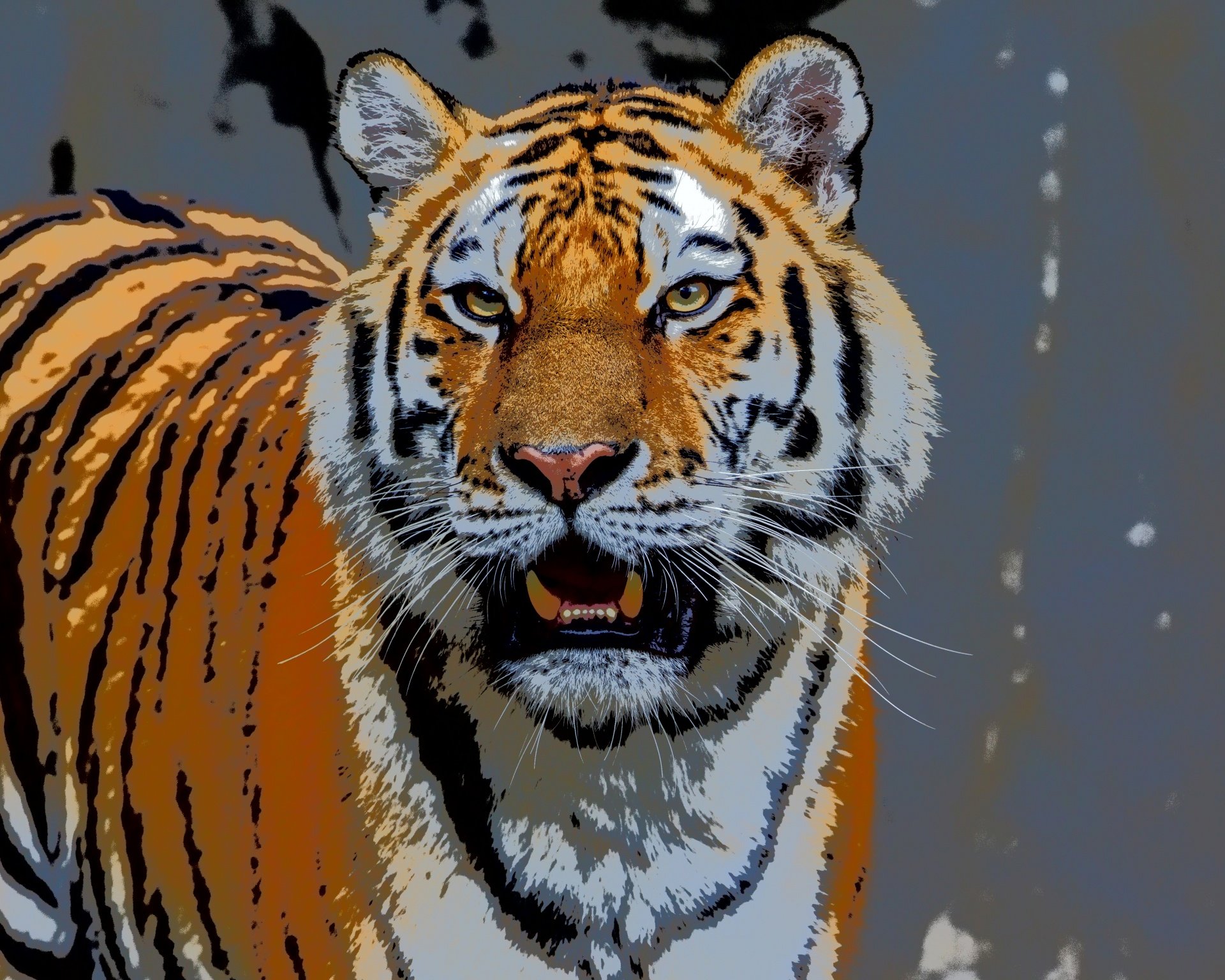 

Siberian Tiger Face – Paint By Numbers - 40*50CM, 501 Original