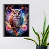 Diamond Painting-DIY Square Drill (Part AB Drill) Owl(35*45CM)