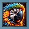 Diamond Painting -DIY Round Drill Parrot(40x40cm)