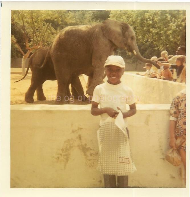 FOUND Photo Poster paintingGRAPH Color ELEPHANT BOY Original Snapshot VINTAGE JD 110 25 F