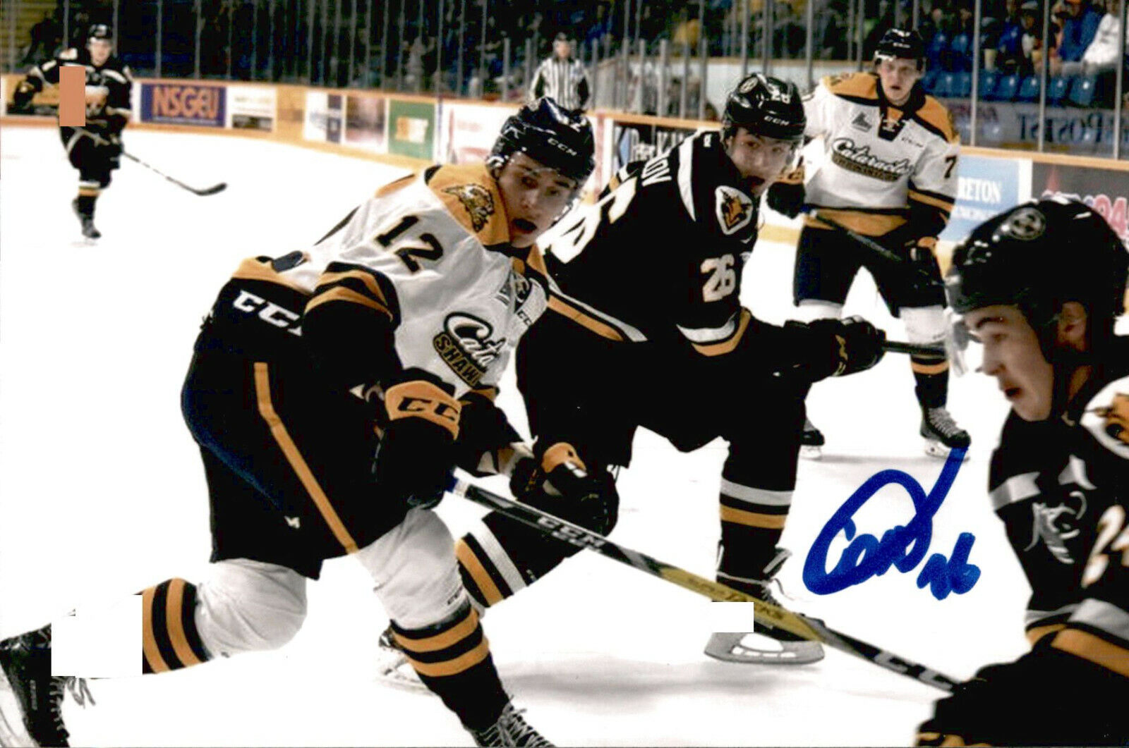 Egor Yegor Sokolov SIGNED auto 4x6 Photo Poster painting CAPE BRETON EAGLES / OTTAWA SENATORS #2