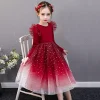 Kid Baby Girl Christmas Autumn Dresses