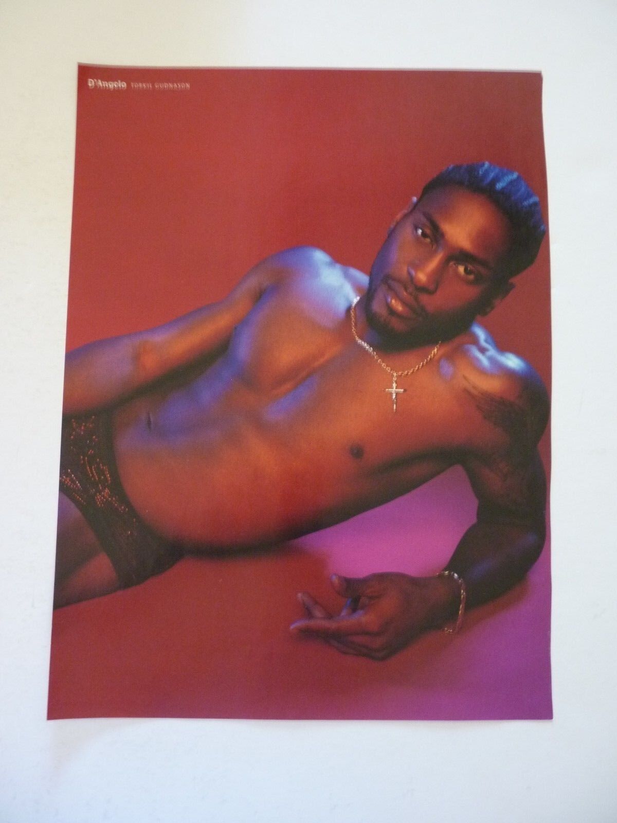 D'Angelo Single Sided Coffee Table Book Photo Poster painting Page 9x12