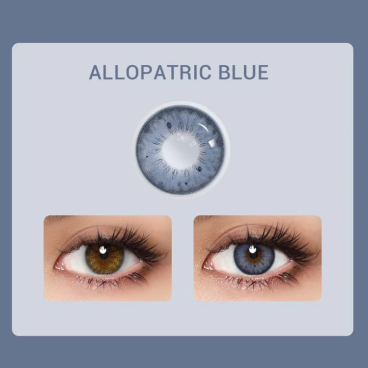 Allopatric blue