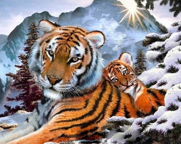 

Tiger And Cub in Snow – Paint By Numbers - 40*50CM, 501 Original