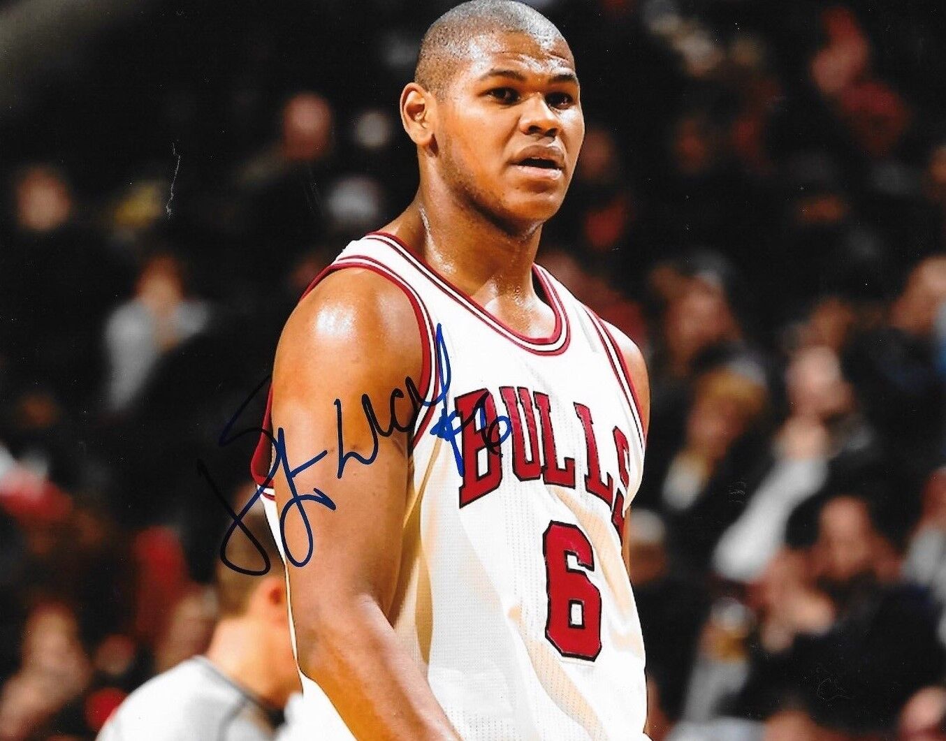 Cristiano Felicio signed Chicago Bulls 8x10 Photo Poster painting autographed 2