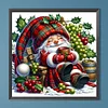 Grape Christmas Gnome - Round Drill Diamond Painting - 40*40CM