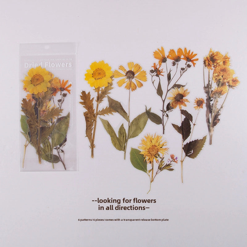 Women’s Mid-waist Pure Cotton Underpants Graphene Antibacterial Coating Ladies Briefs Comfortable Breathable Innerwear