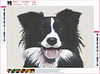 Diamond Painting-DIY Full Round Drill Cute Dog