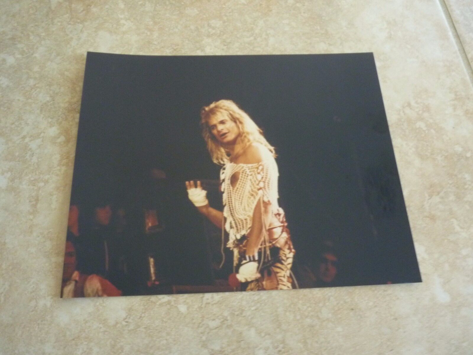 David Lee Roth Van Halen 8x10 Live Concert Photo Poster painting #10