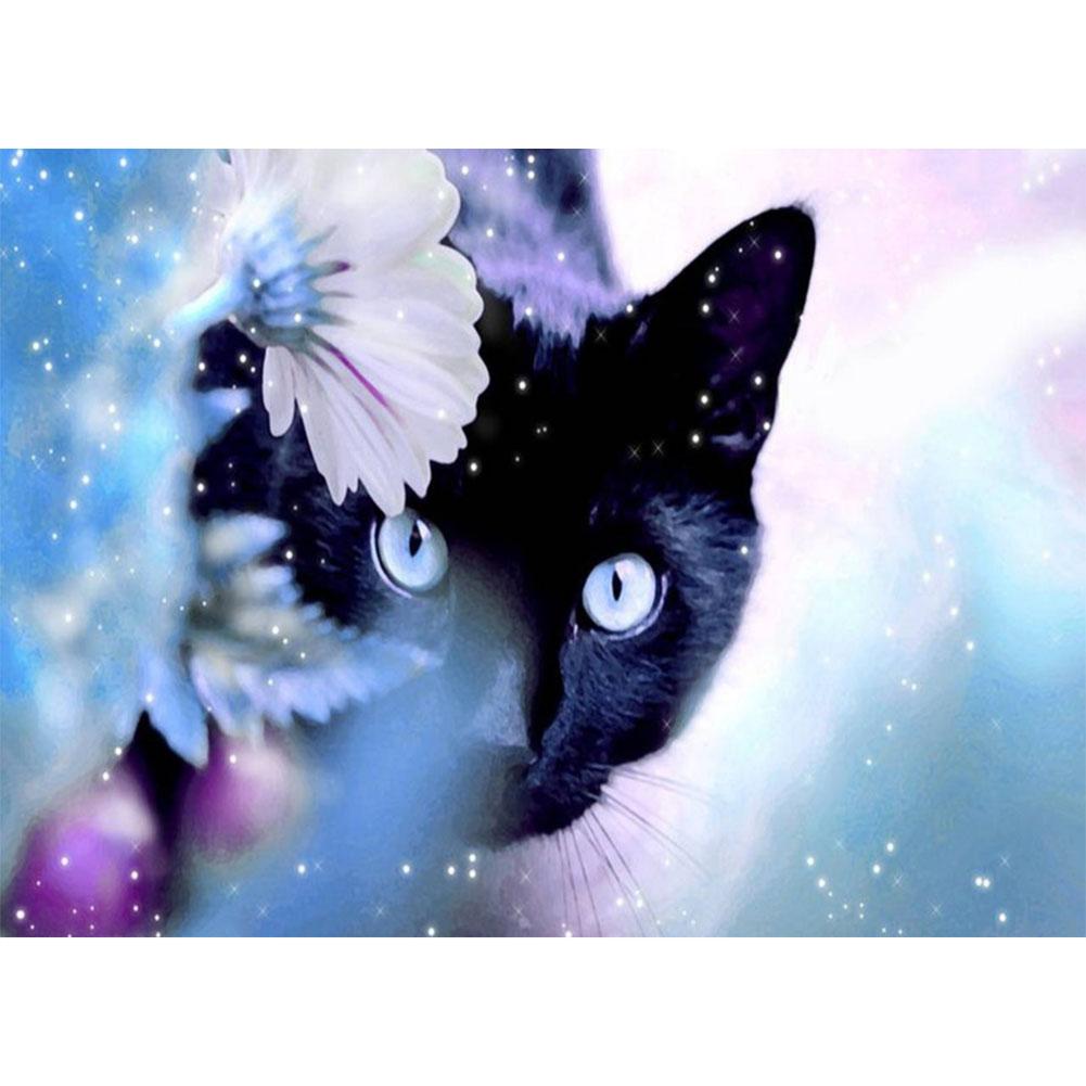

40x50cm - Paint By Numbers Black Cat, 501 Original