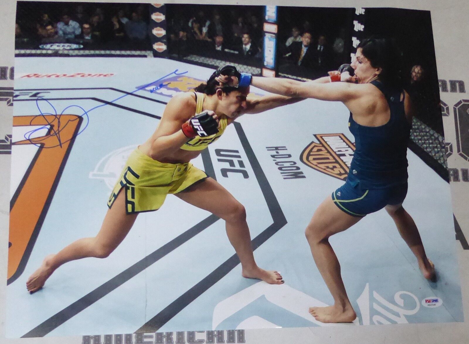 Jessica Penne Signed UFC 16x20 Photo Poster painting PSA/DNA COA The Ultimate Fighter 20 Picture