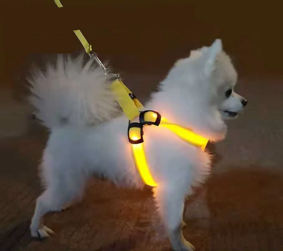 2025 Hot Selling LED Flaring Pet Vest Harness PP Material for Dogs and Cats with Leash Used for Walking the Dog at Night