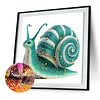 Schnecken 5d DIY Sonderform Teilbohrer Dimond Gemälde Wanddekoration 30x30cm