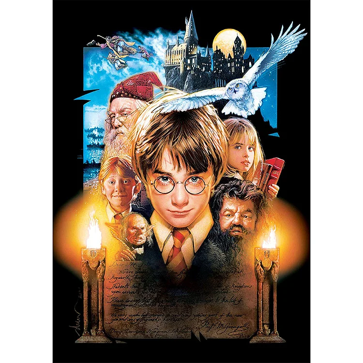 Harry Potter - Full Round - Diamond Painting(30*40cm）