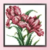 Orchid - 14CT Stamped Cross Stitch 17*17cm/6.69*6.69in(Brand)