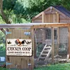 Chicken - Vintage Metal Signs(12*8Inch) - Chicken