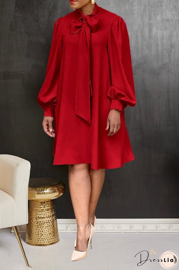 Tailored and Elegant winter Dress