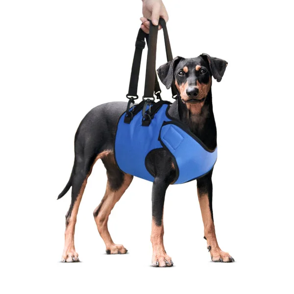 Dog IVDD Lift Harness/ Support & Rehabilitation Sling with Adjustable Strap