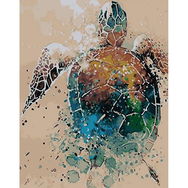 Tortoise - Painting By Numbers - 40x50cm