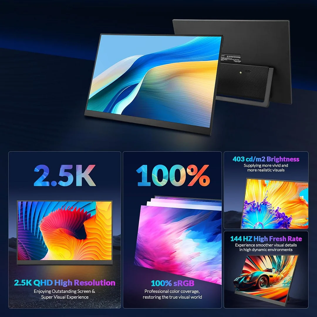 Rii Portable Monitor