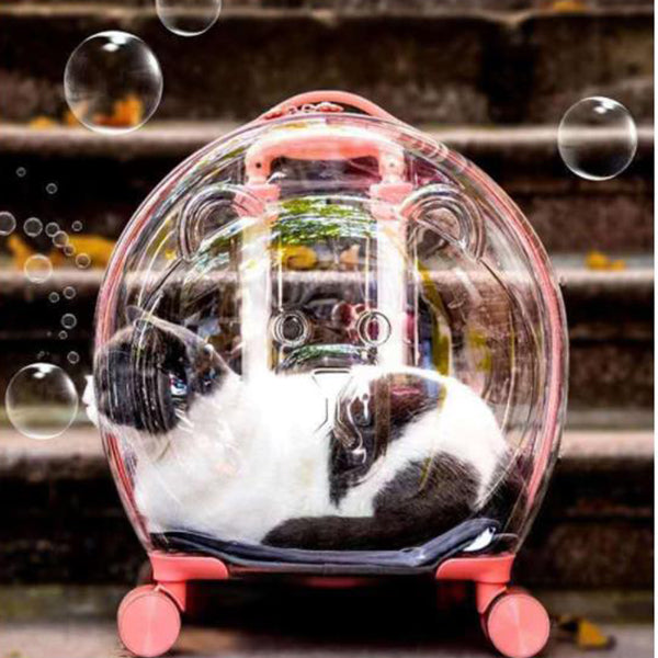 The Classic Taste Original Total Transparent Pet Carrier