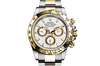 Rolex 116503 Daytona White - New