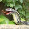 Greatstar Remote Control Snake Toy for Kids 17.5 Inch RC Rechargeable Realist...