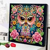 Diamond Painting-DIY Special Shaped Drill Rose Surrounded Mandala Owl with Frame(29x29cm)