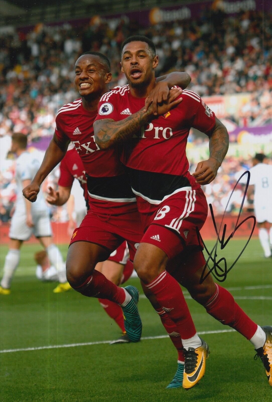 WATFORD HAND SIGNED ANDRE GRAY 12X8 Photo Poster painting.